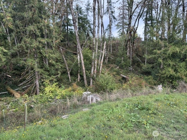 236 Pattee Road Property Photo 19