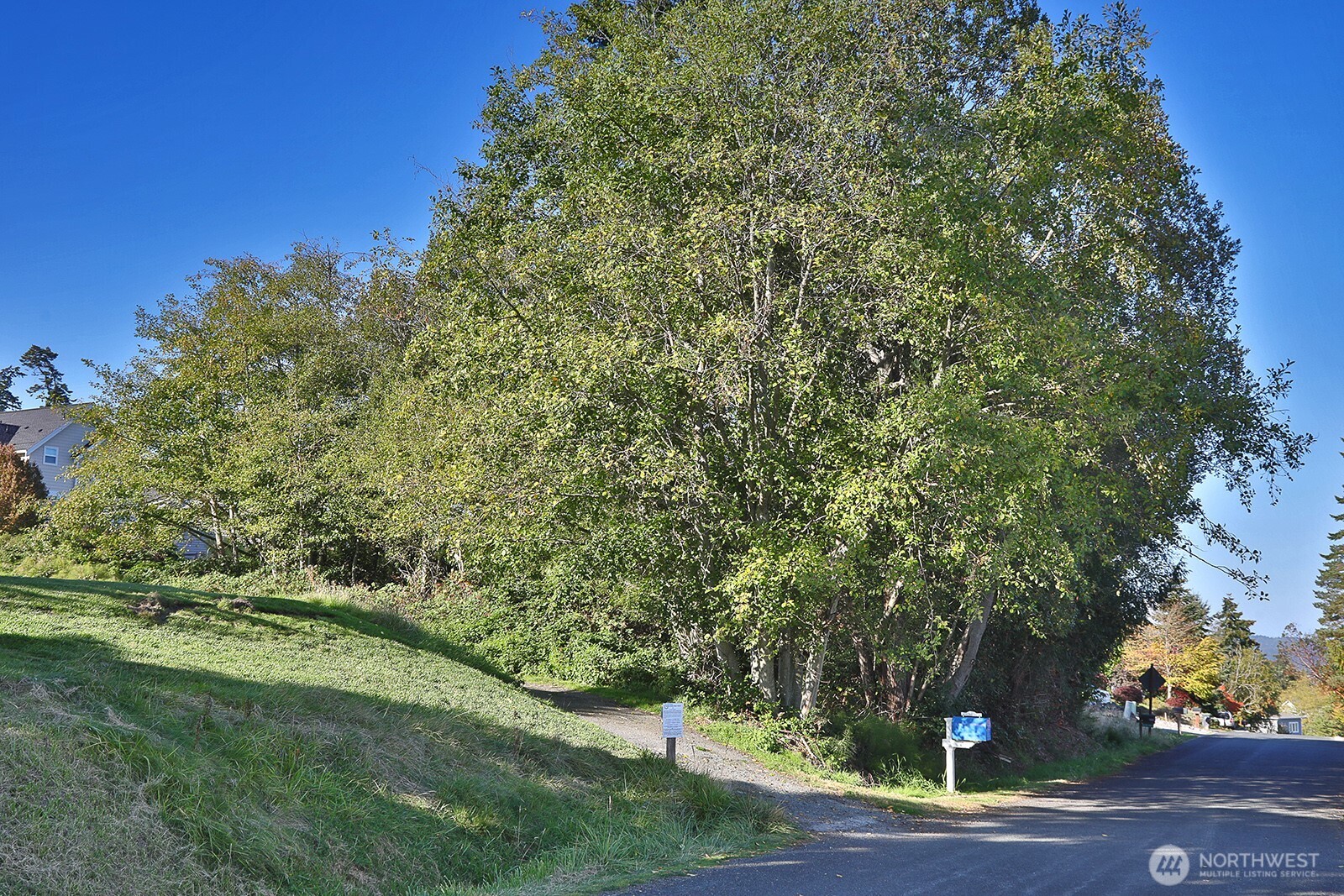 0 Par Drive Property Photo 6