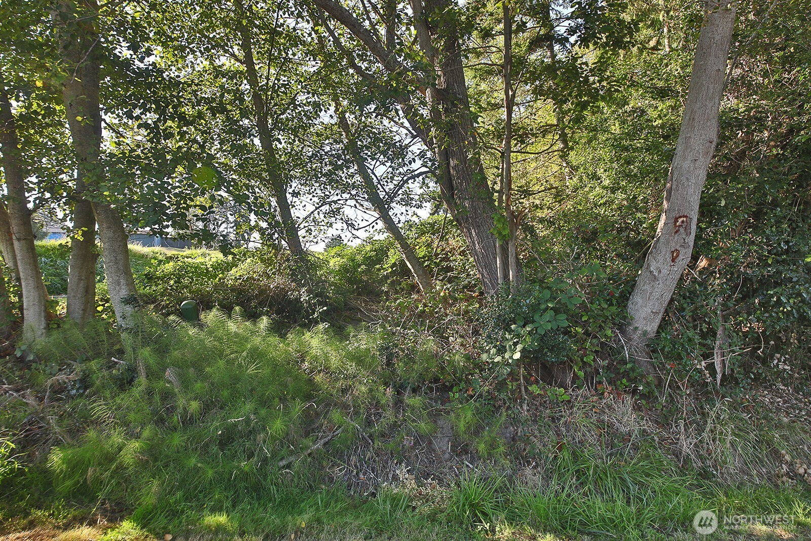0 Par Drive Property Photo 8