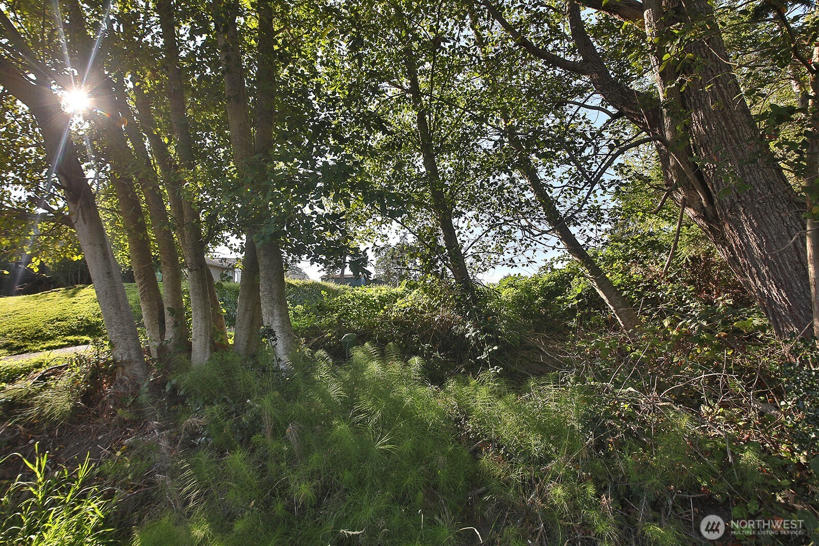 0 Par Drive Property Photo 9