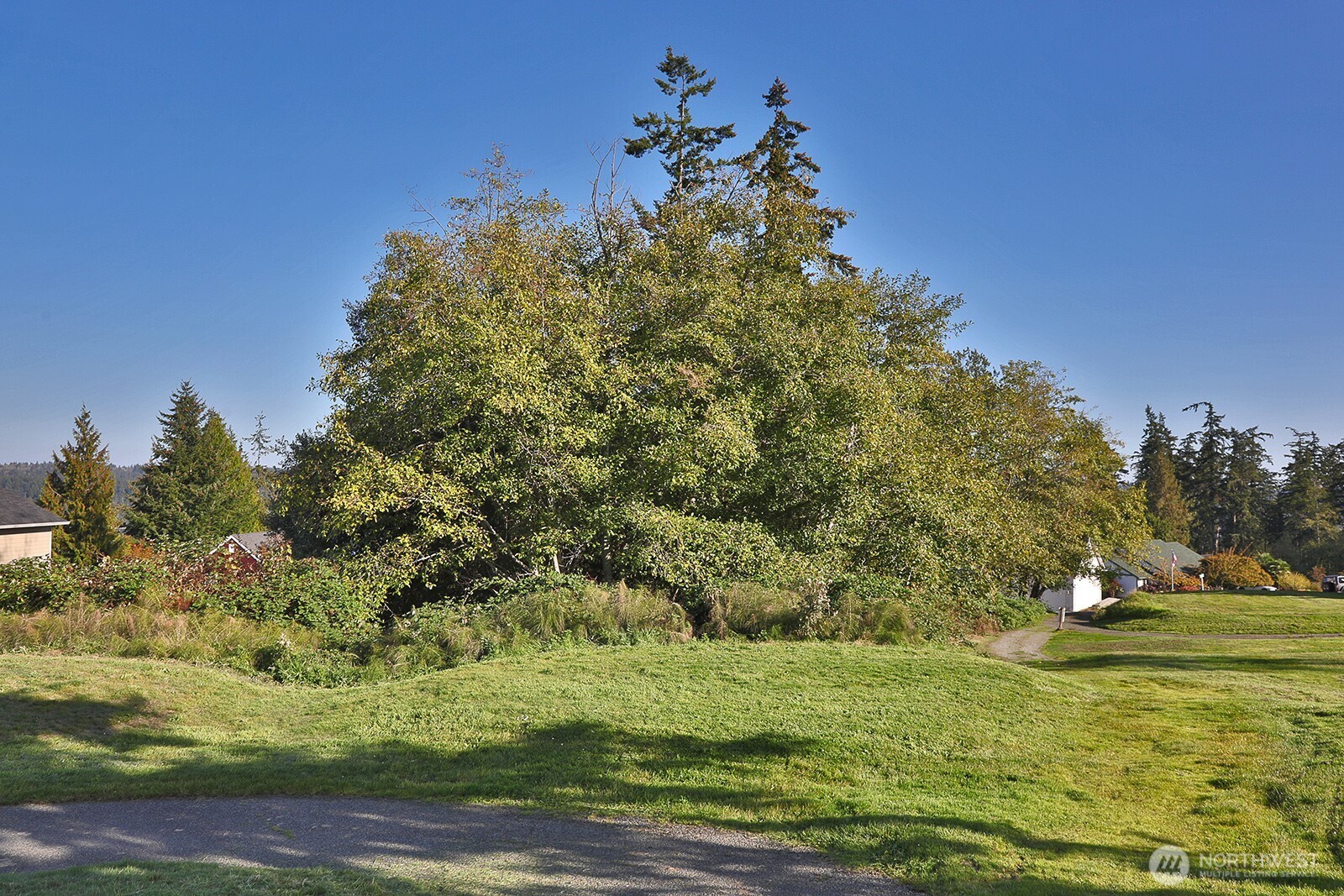 0 Par Drive Property Photo 14