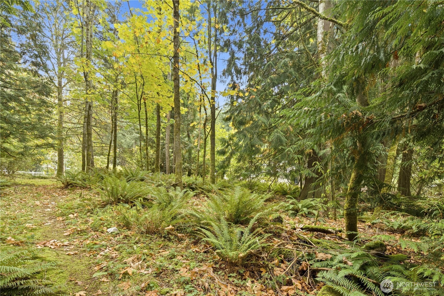 0 Reveille Street Property Photo 15
