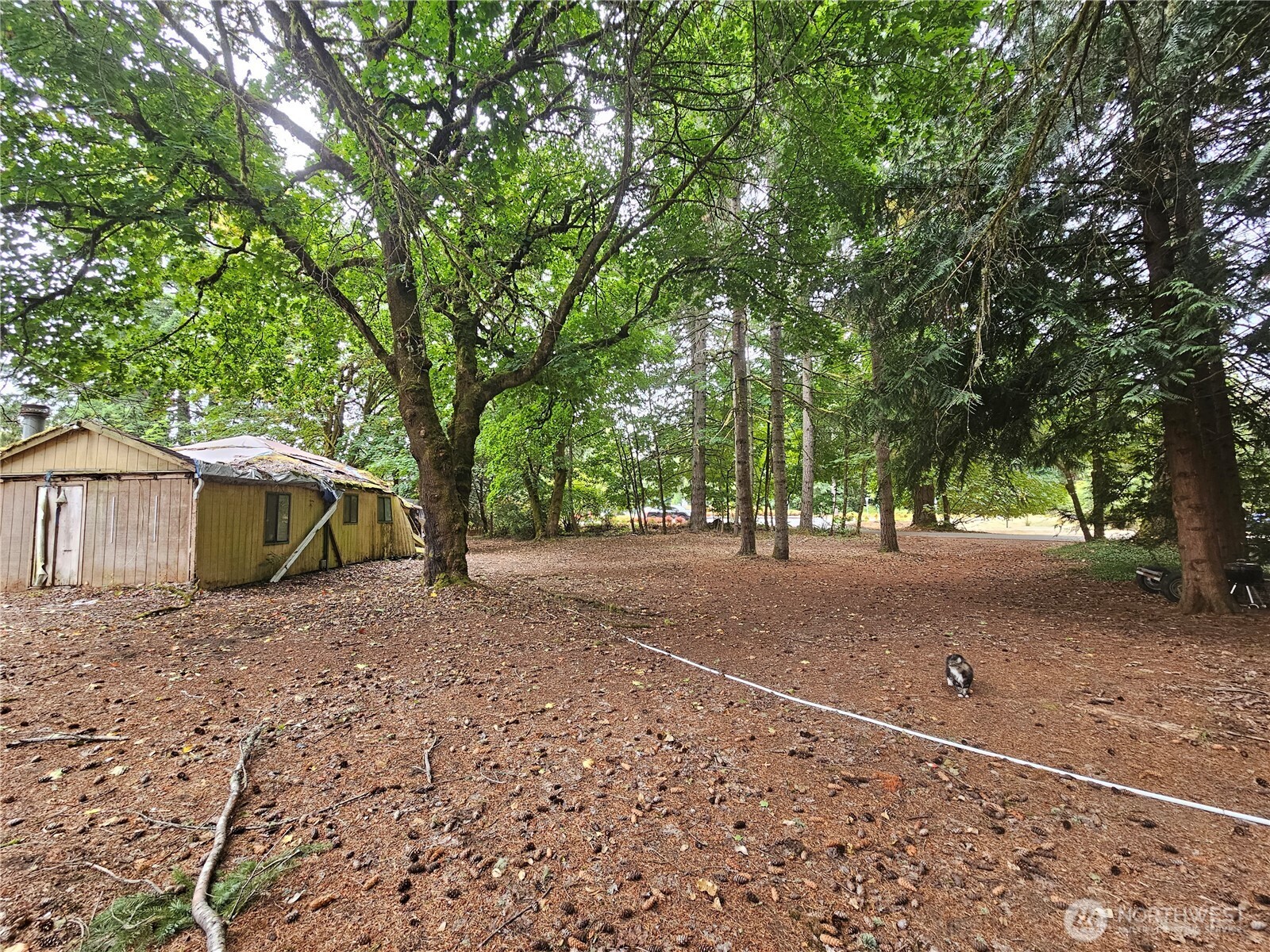 7143 Littlerock Road Property Photo 31