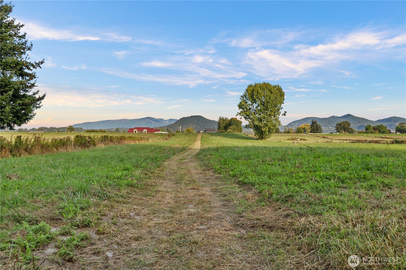 17166 Dike Road Property Photo 29