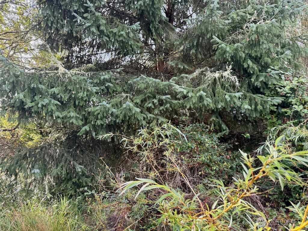 11 Xx Wheeler Avenue Property Photo 5