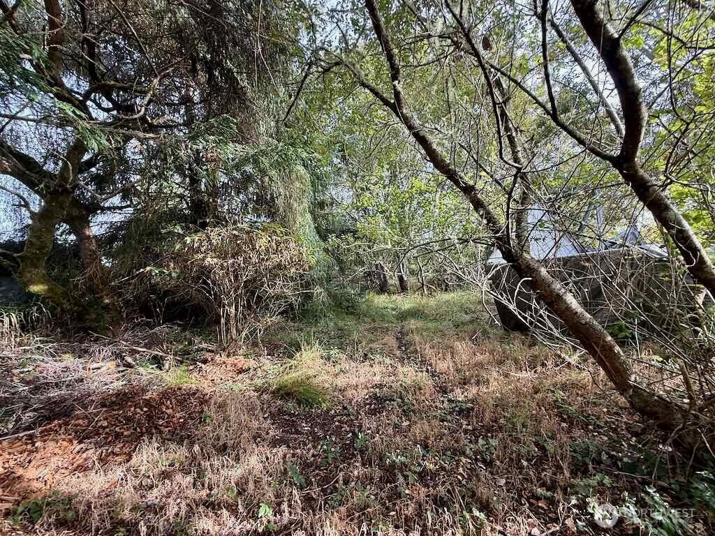 11 Xx Wheeler Avenue Property Photo 7