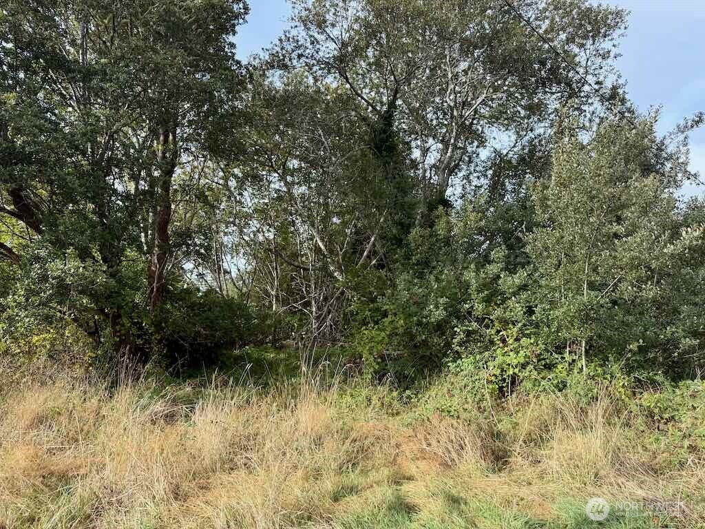 11 Xx Wheeler Avenue Property Photo 17