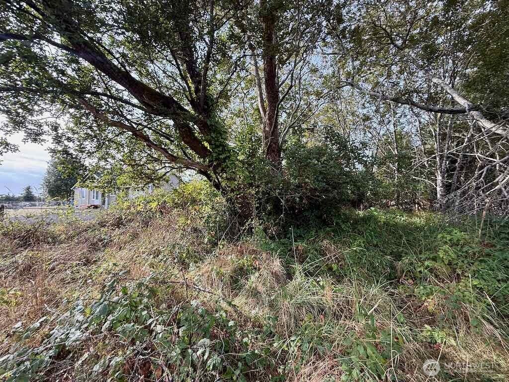 11 Xx Wheeler Avenue Property Photo 18