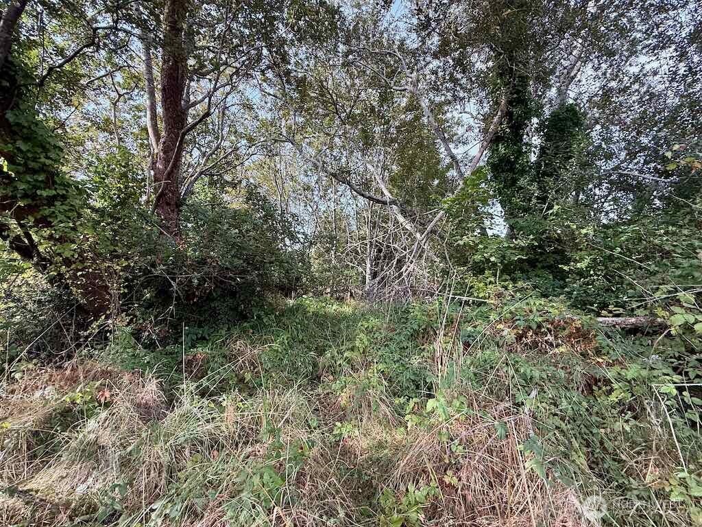 11 Xx Wheeler Avenue Property Photo 19