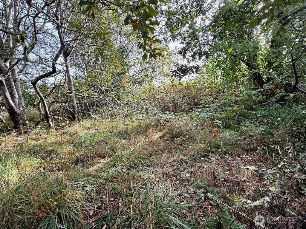 11 Xx Wheeler Avenue Property Photo 20
