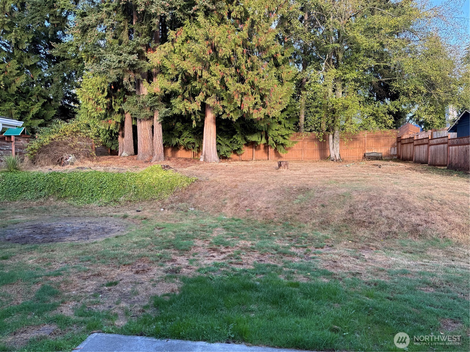 17815 46th Place Property Photo 20