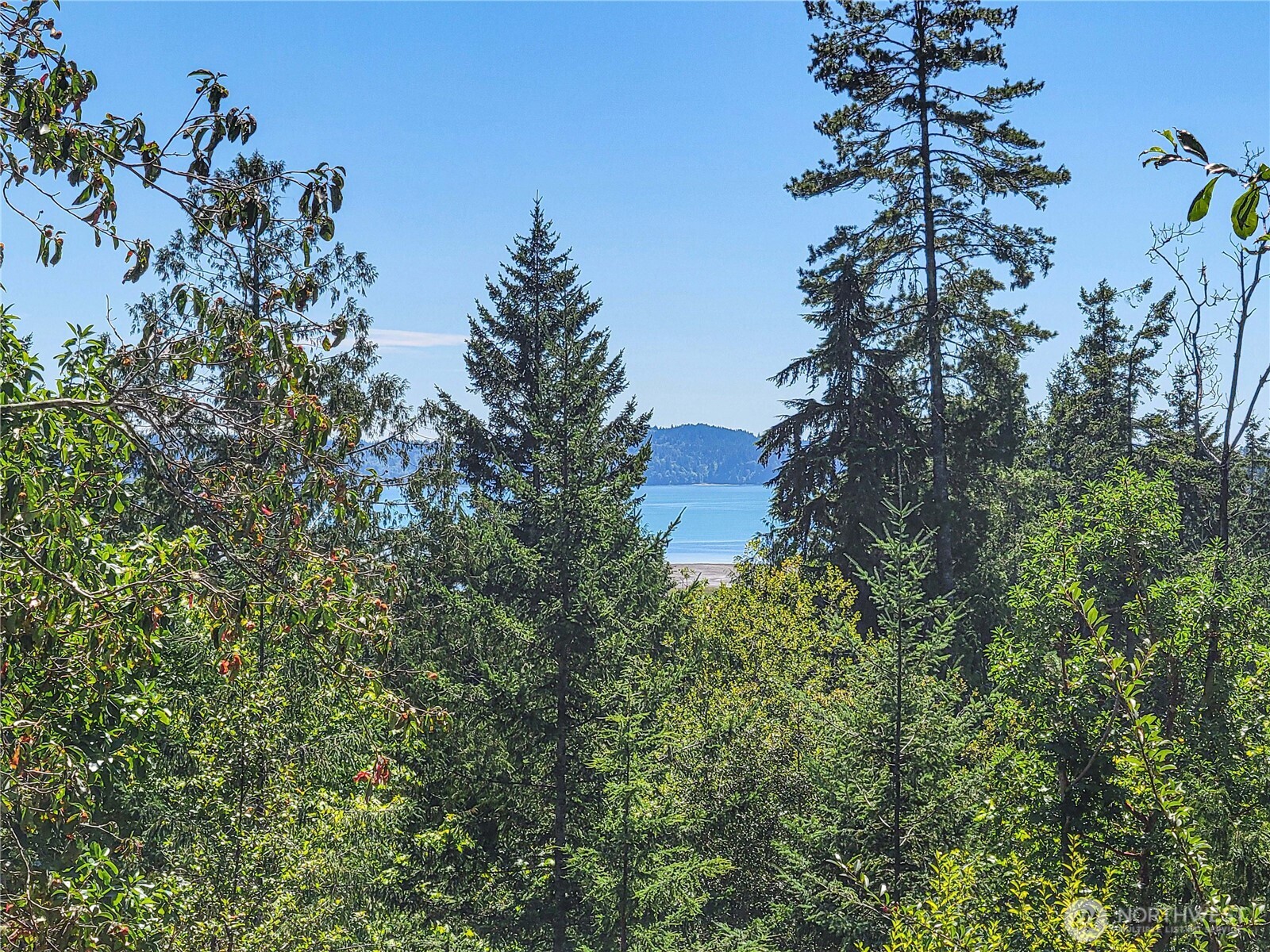 201 Mount Jupiter Road Property Photo 2