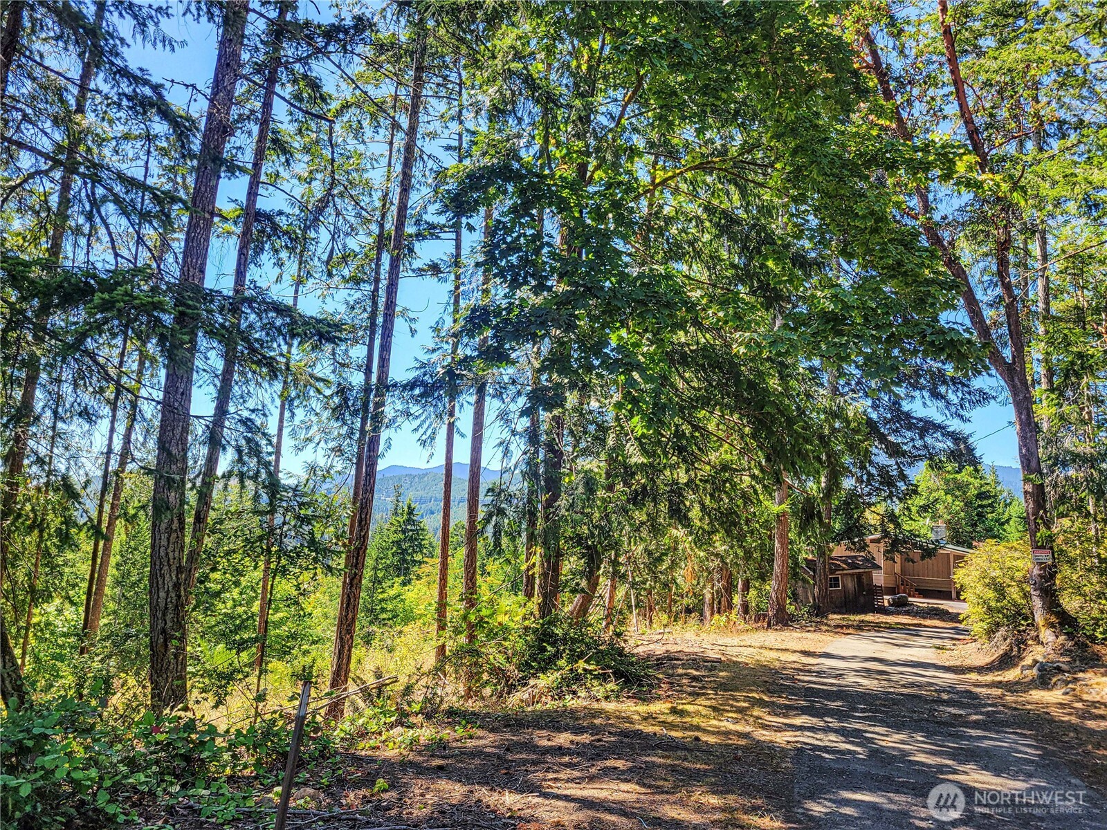201 Mount Jupiter Road Property Photo 7