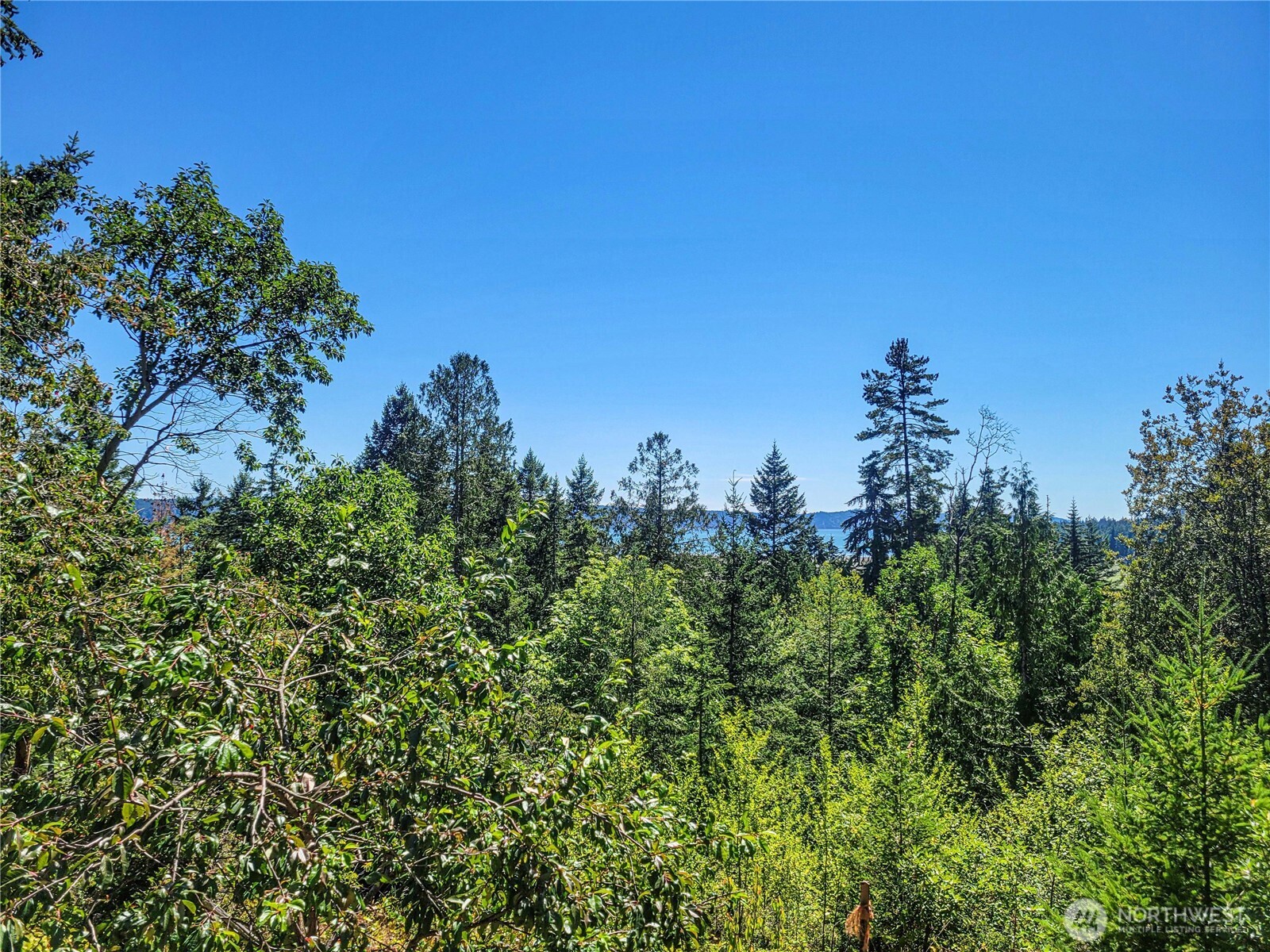 201 Mount Jupiter Road Property Photo 21