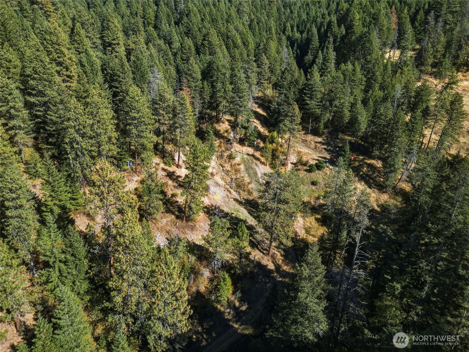 1737 Scott Road Property Photo 1