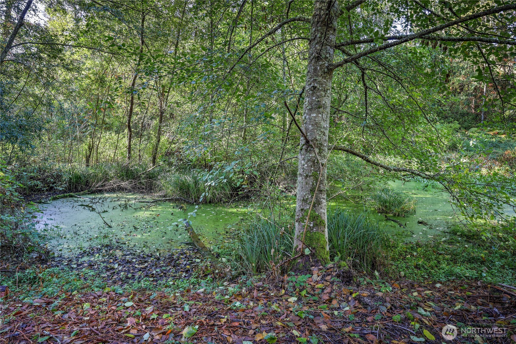 2410 Cape George Road Property Photo 19