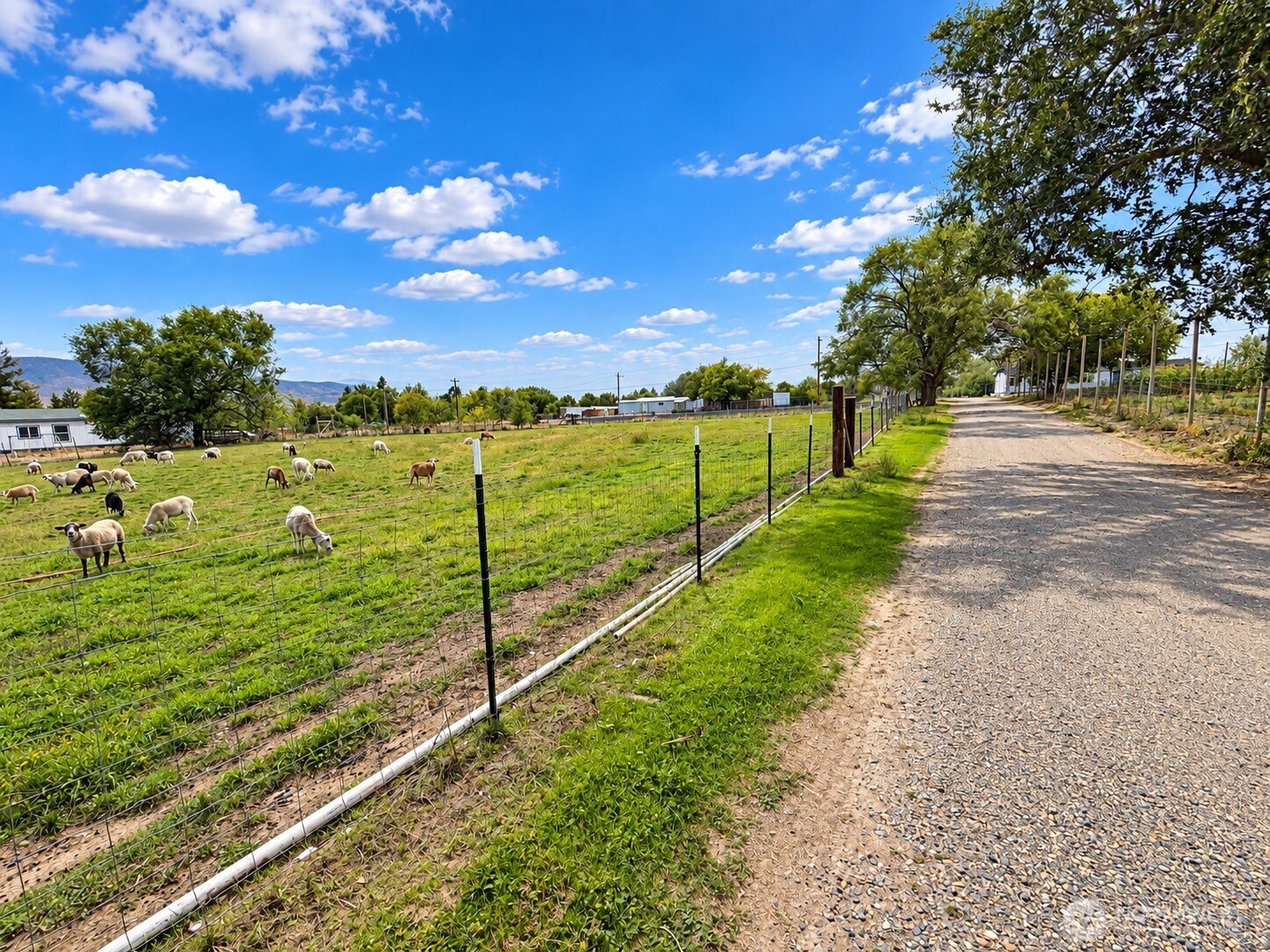 8305 S Missimer Road Property Photo 3