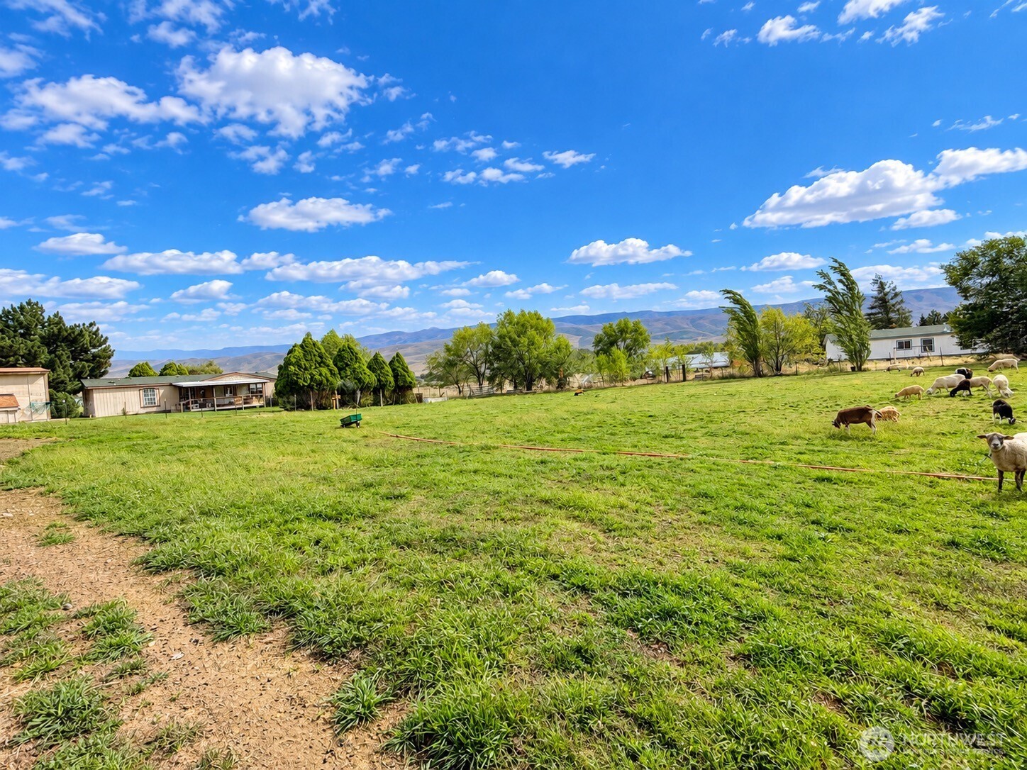 8305 S Missimer Road Property Photo 11