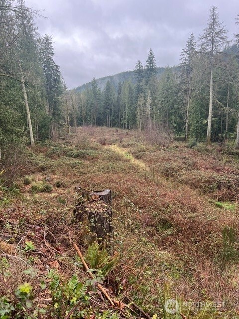 27635 Se Mud Mountain Road Property Photo 1