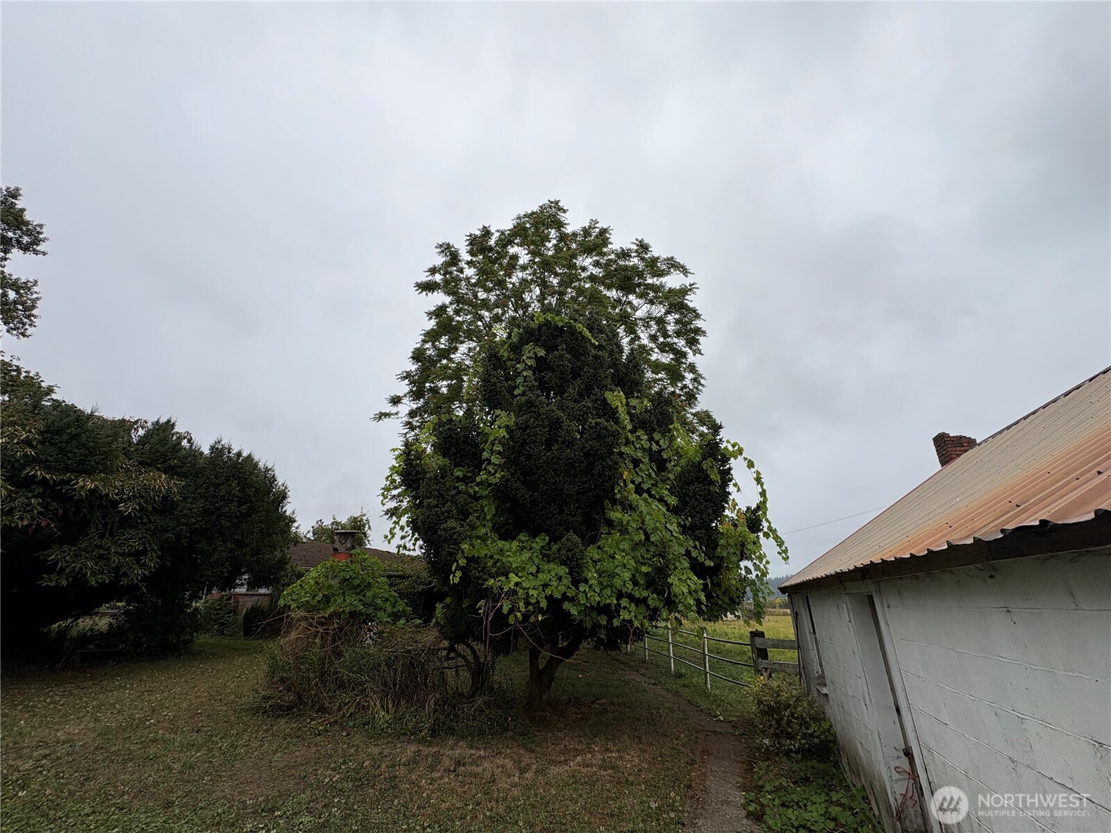 1636 Rice Road Property Photo 20