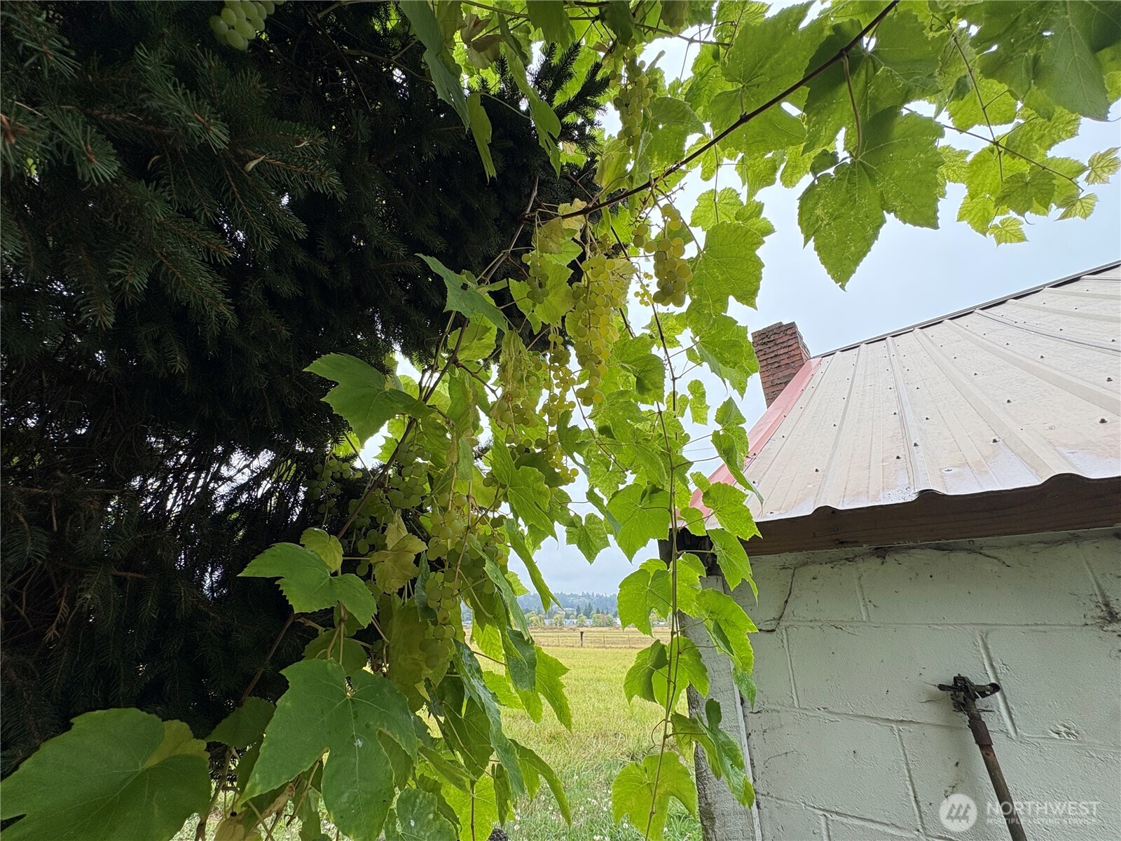 1636 Rice Road Property Photo 21