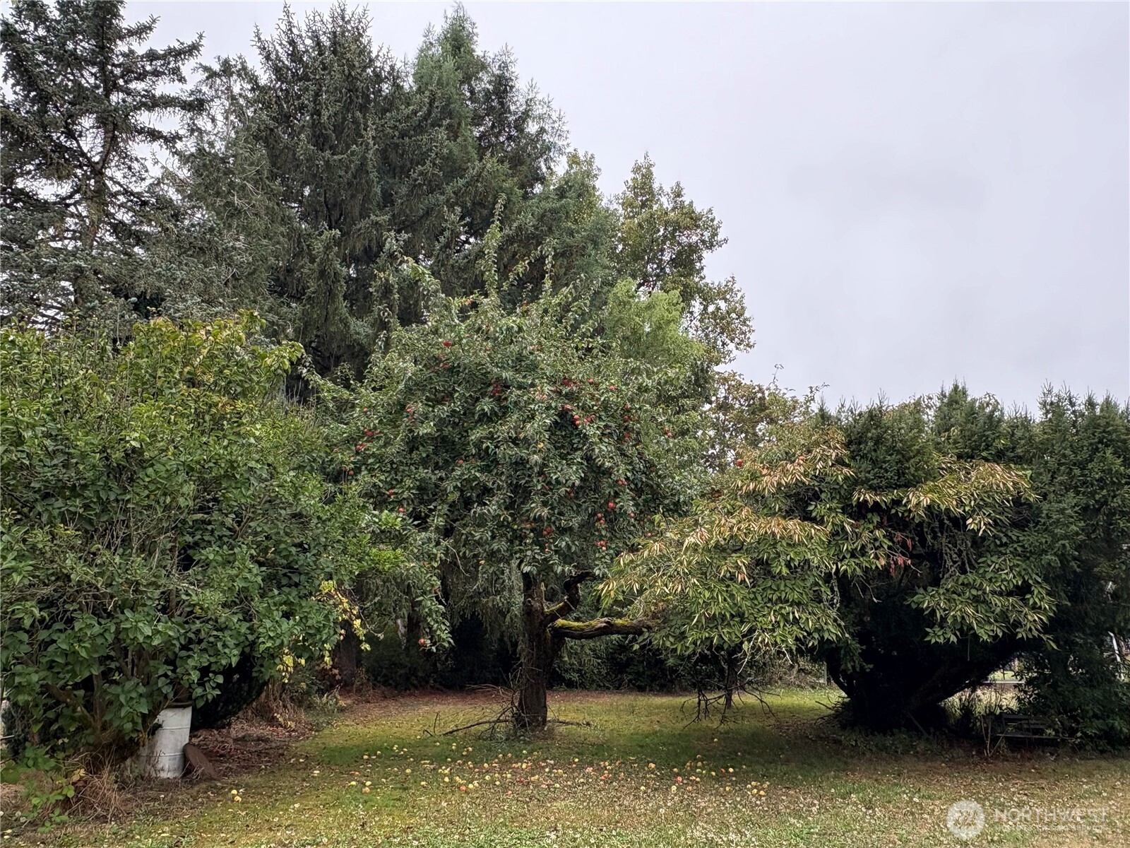 1636 Rice Road Property Photo 25