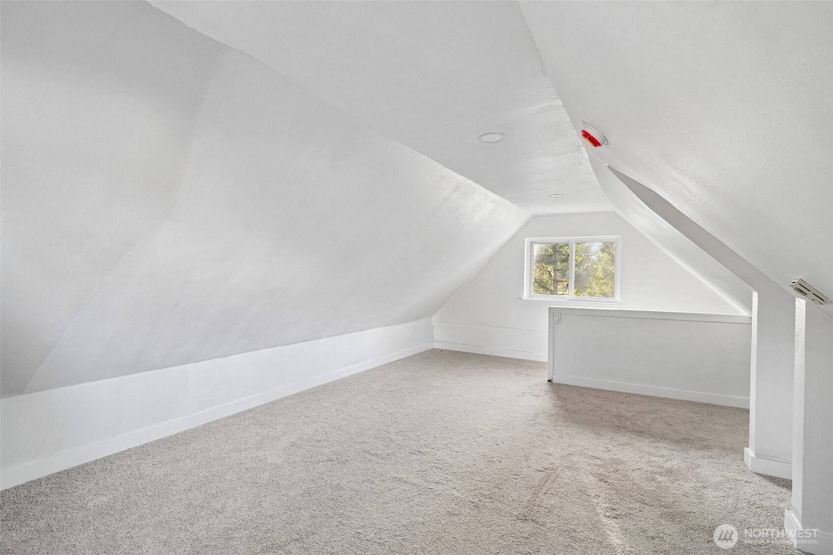 8428 D Street Property Photo 19