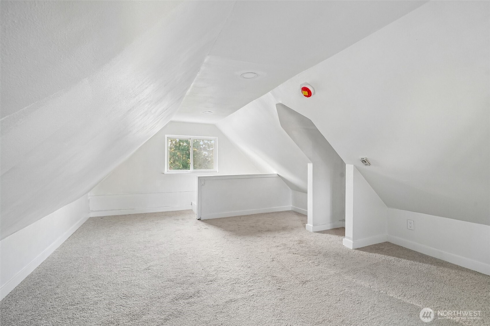 8428 D Street Property Photo 20