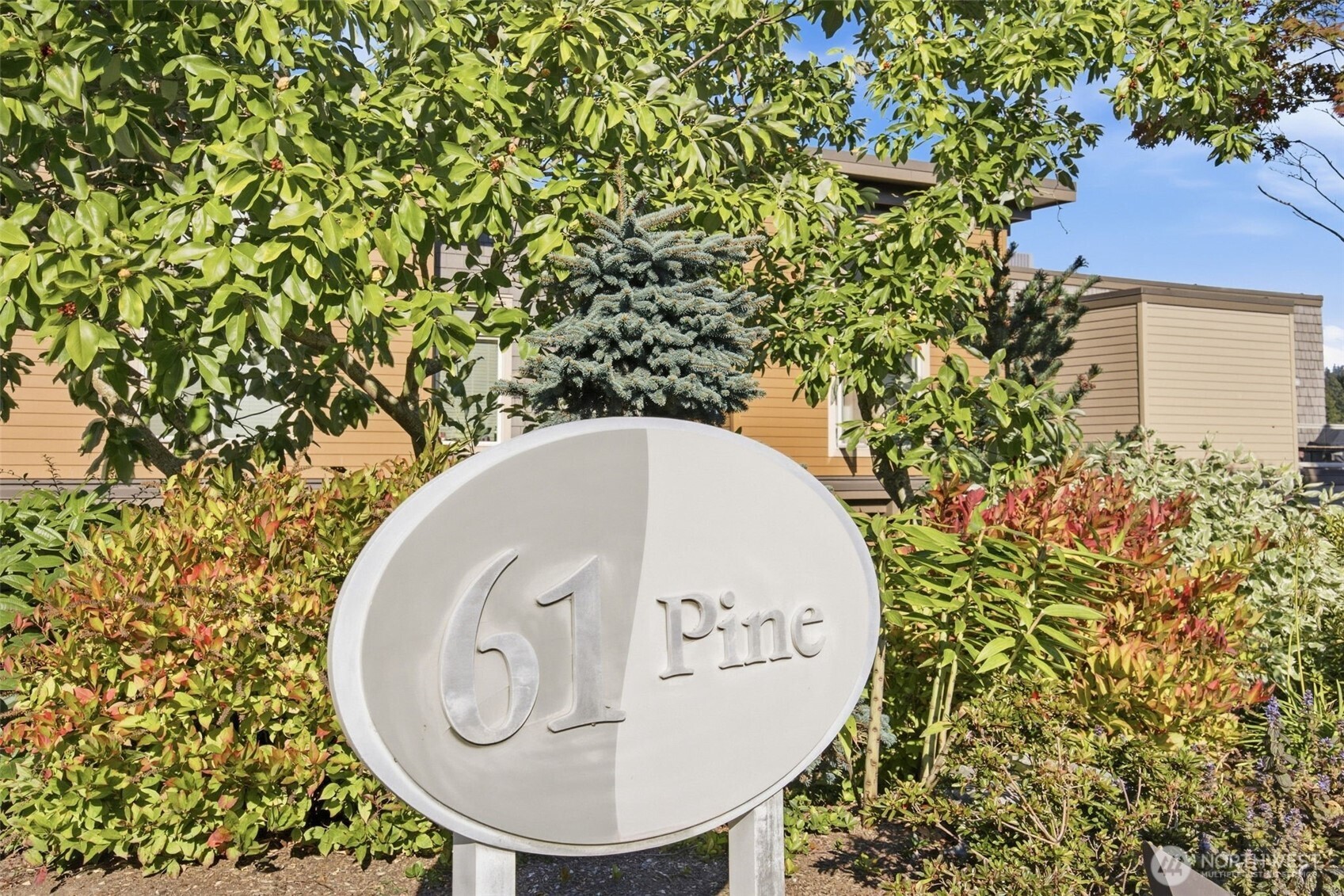 61 Pine 206 Property Photo 3