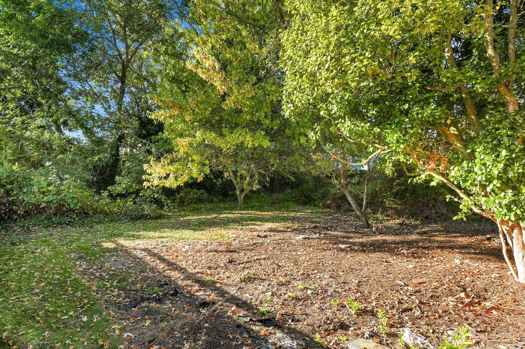 7739 13th Avenue Property Photo 18