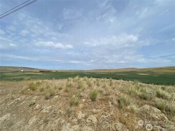 0 Little Goose Dam Rd Property Photo 3