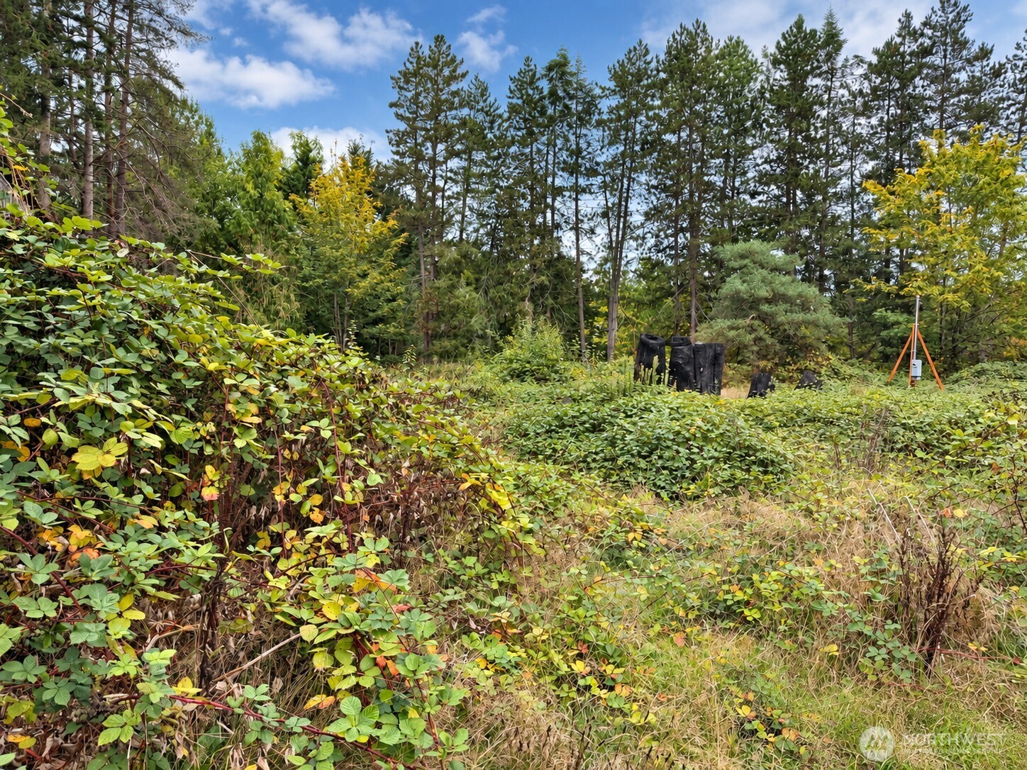 18646 Byers Road Property Photo 6