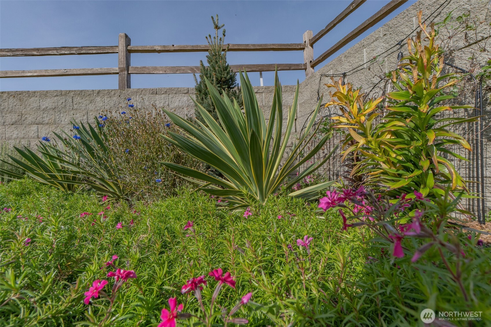 9131 Candytuft Court Property Photo 9
