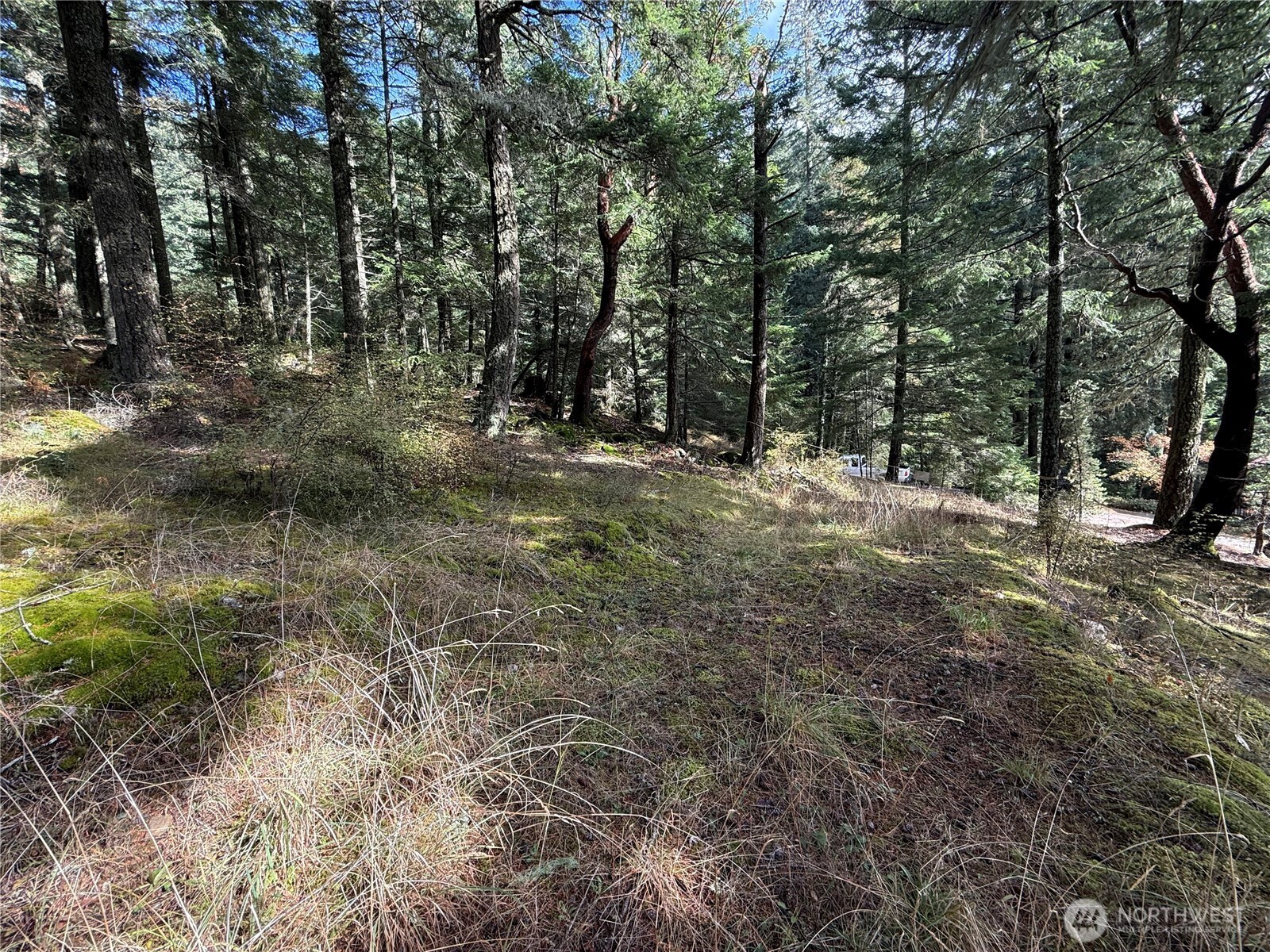 314 Discovery Way Property Photo 4