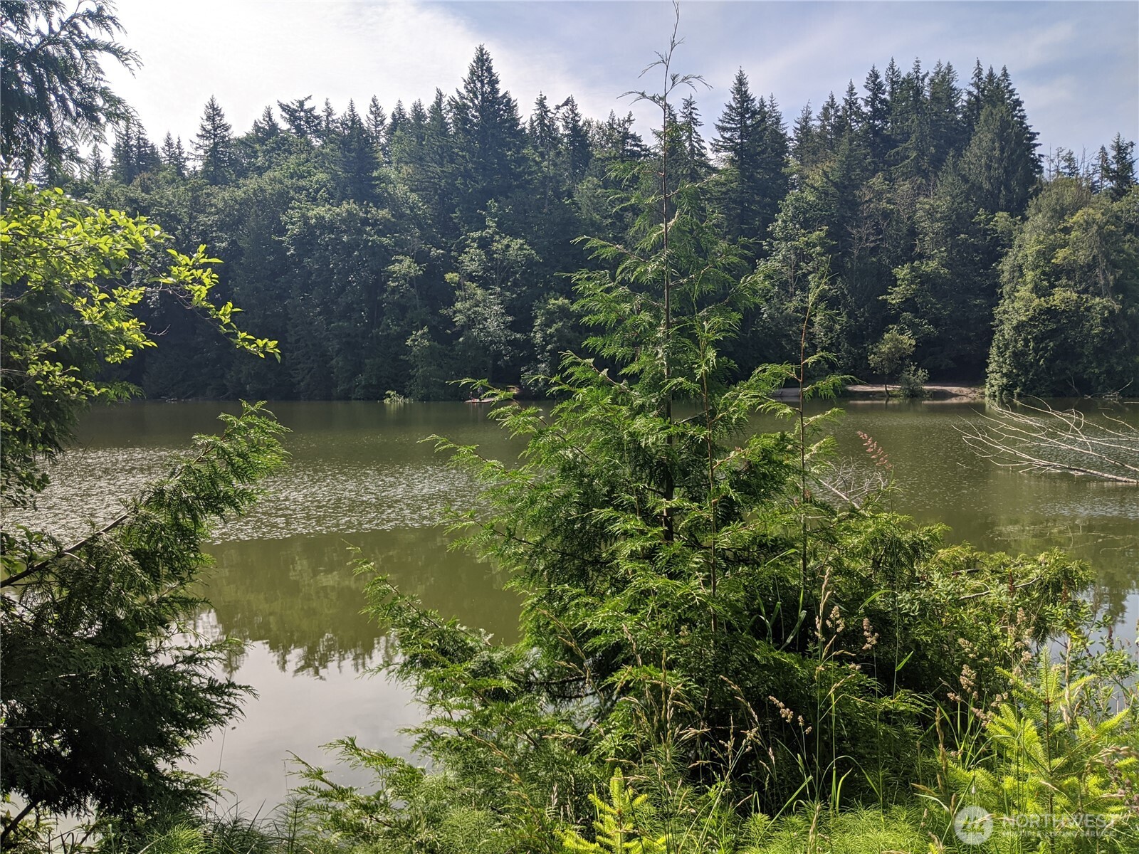 1683 Pebble Beach Trail Property Photo 6