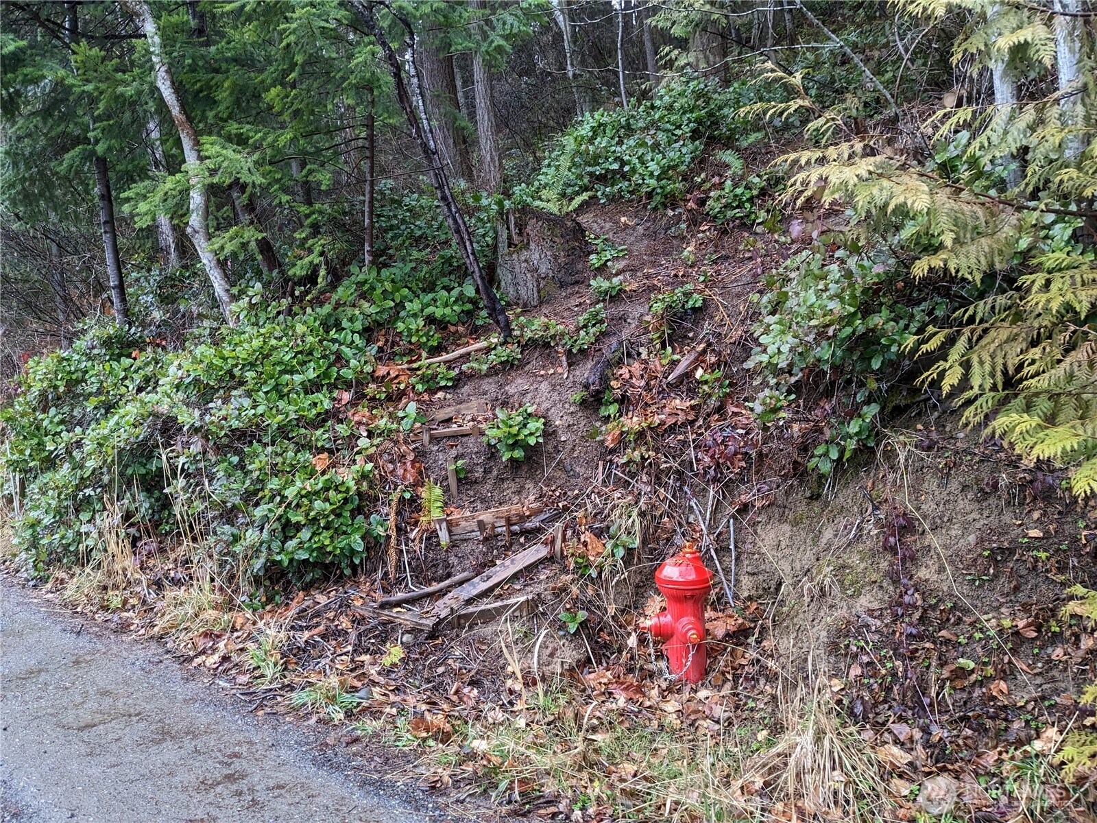 1683 Pebble Beach Trail Property Photo 12