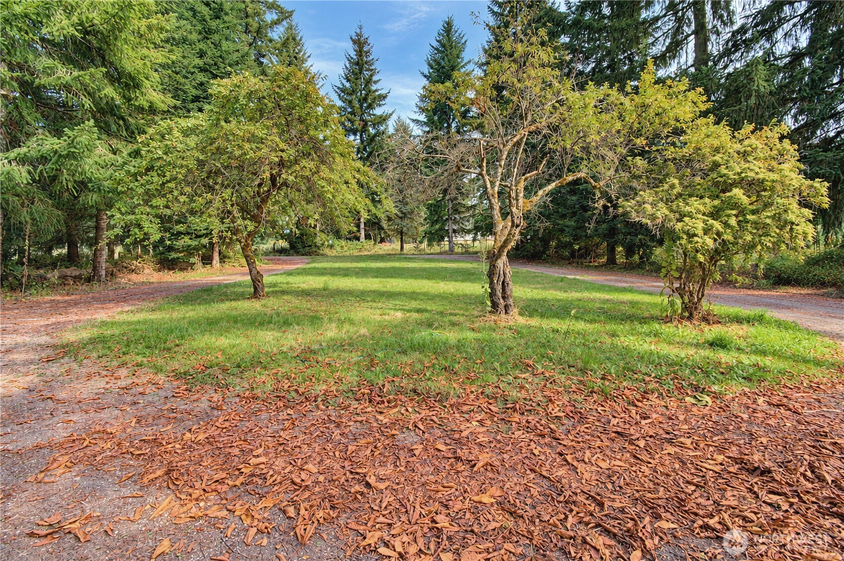 14405 Ne 245th Street Property Photo 39