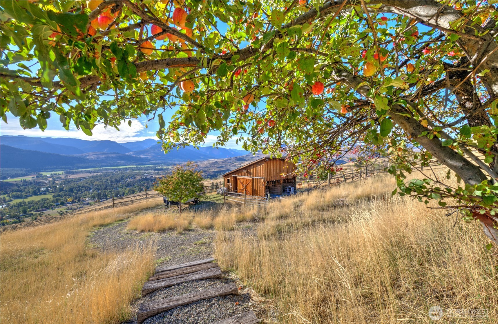 168 Stud Horse Mountain Road Property Photo 34