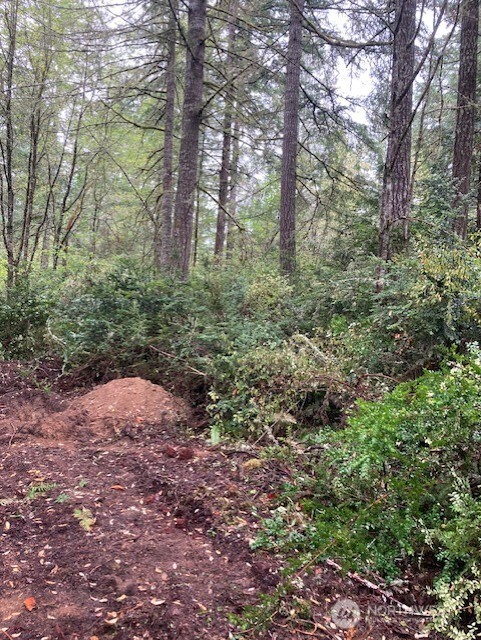 16822 74th Street Property Photo 2