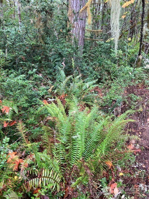 16822 74th Street Property Photo 3