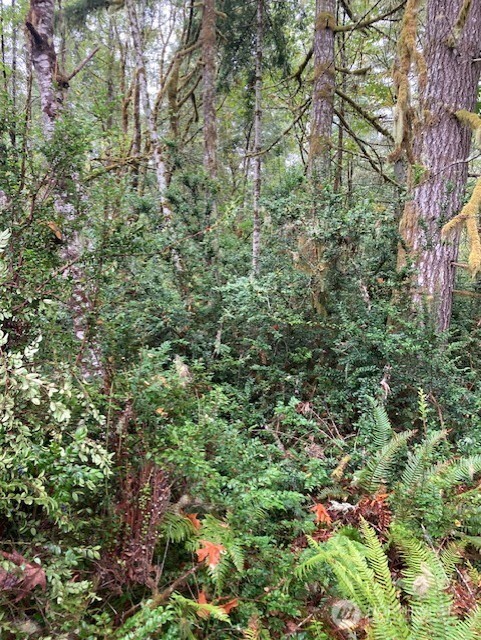 16822 74th Street Property Photo 4