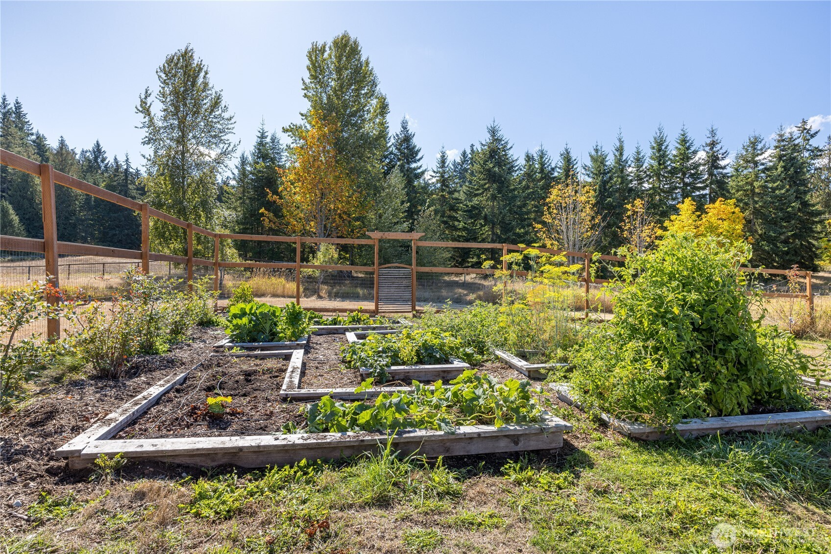 1485 Deer Park Road Property Photo 34