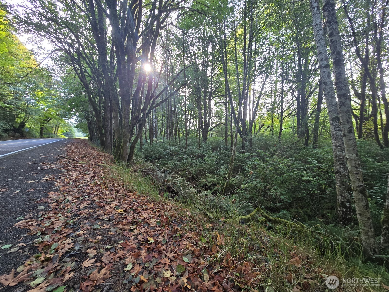 0 East Satsop Road Property Photo 12