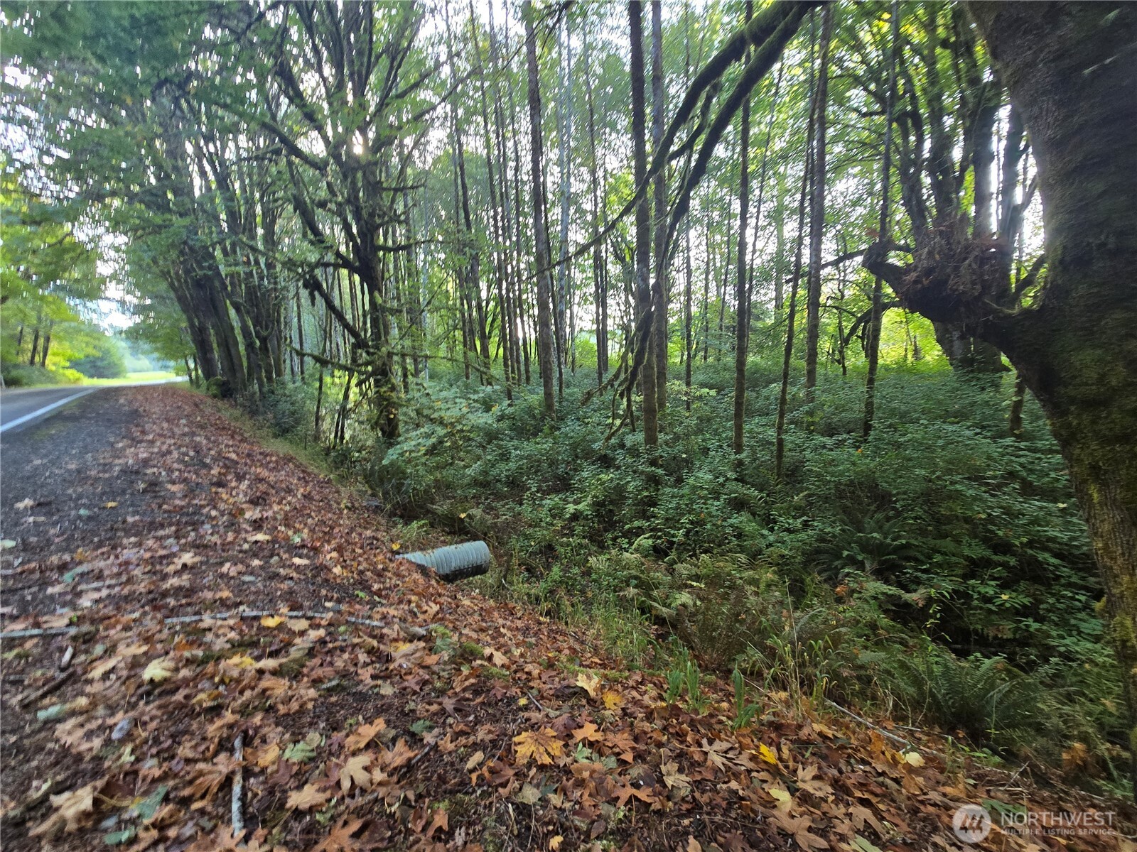 0 East Satsop Road Property Photo 17