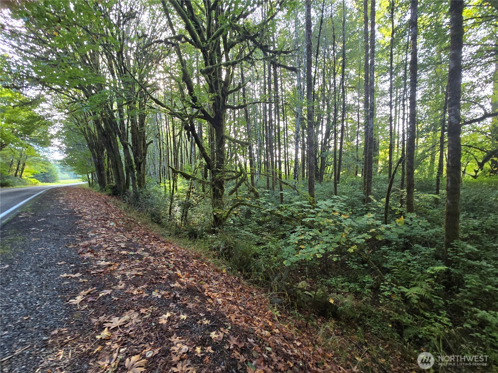 0 East Satsop Road Property Photo 18