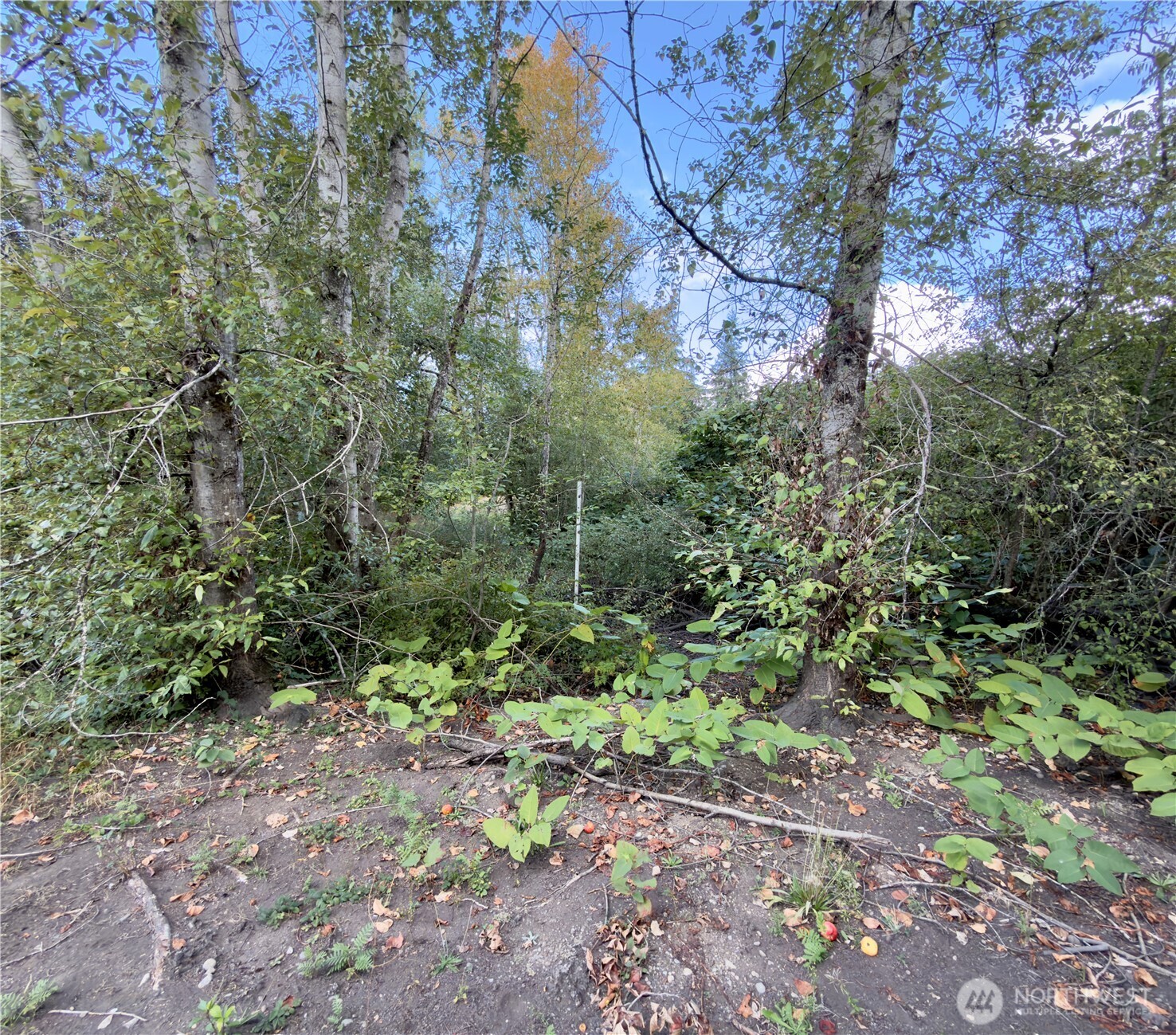608 Sw 142nd Street Property Photo 23