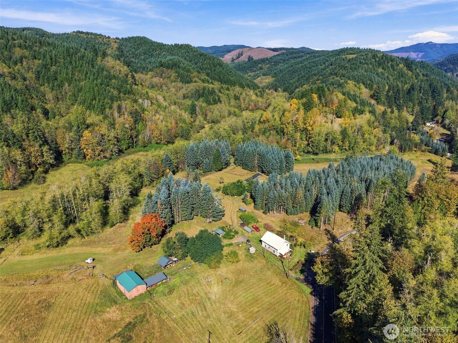 555 Pigeon Springs Road Property Photo 8