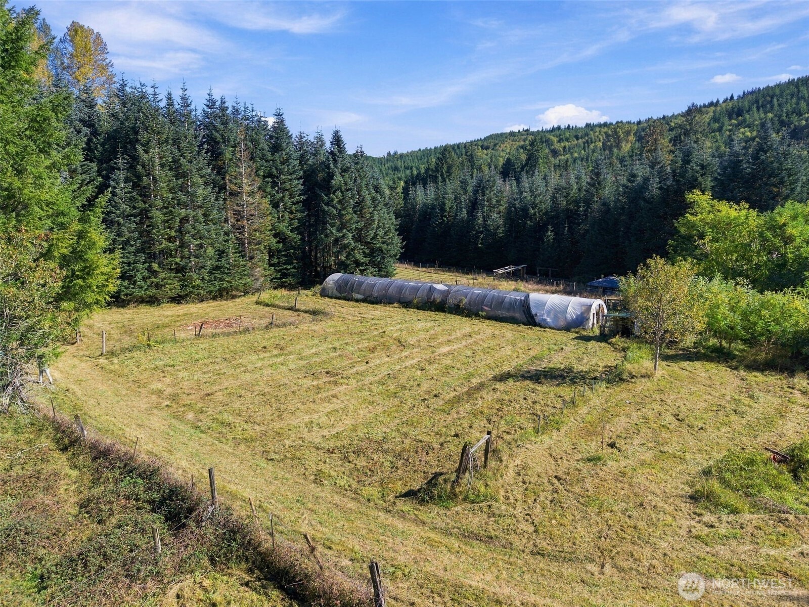 555 Pigeon Springs Road Property Photo 10