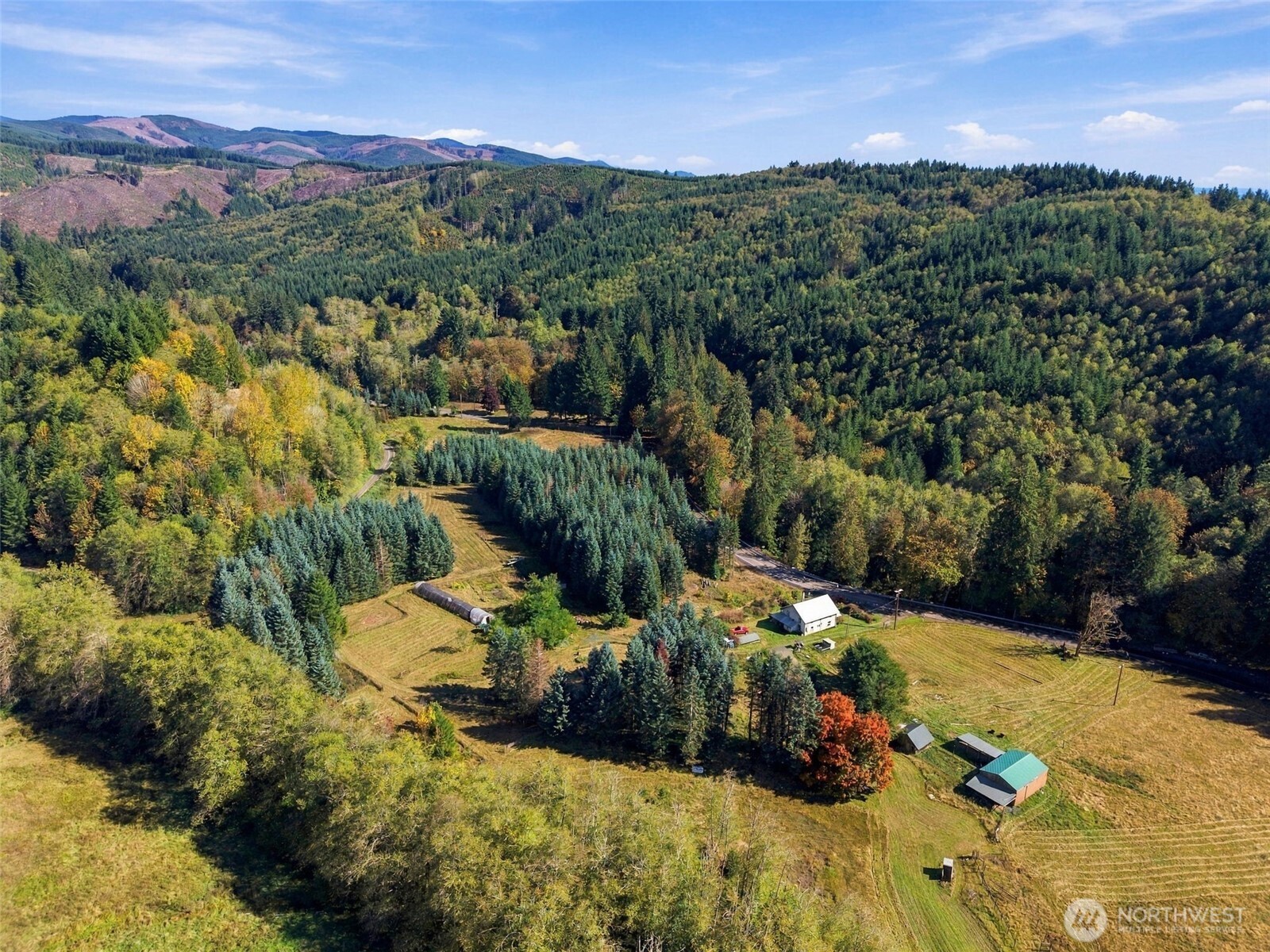 555 Pigeon Springs Road Property Photo 13