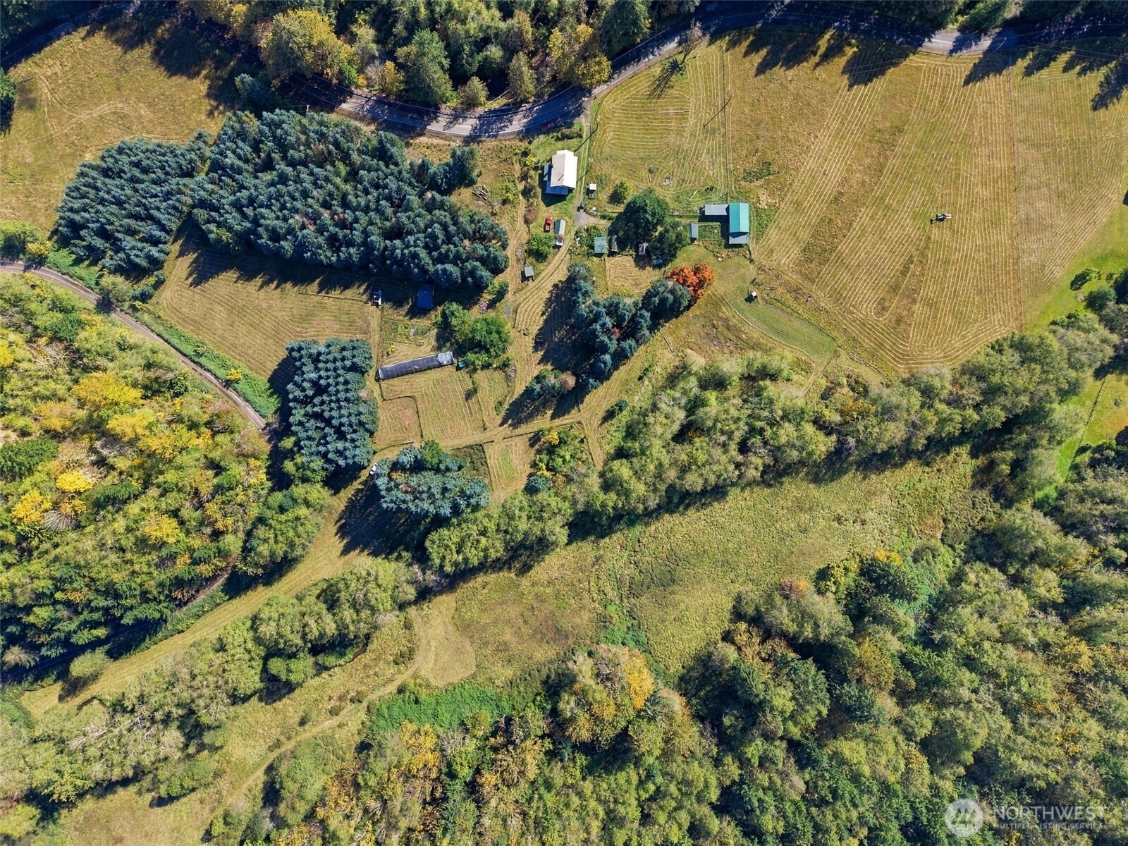 555 Pigeon Springs Road Property Photo 14